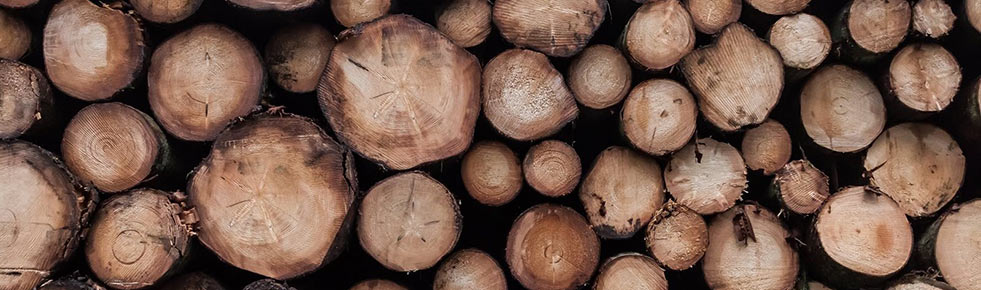 FSC & PEFC - bæredyktig tømmer